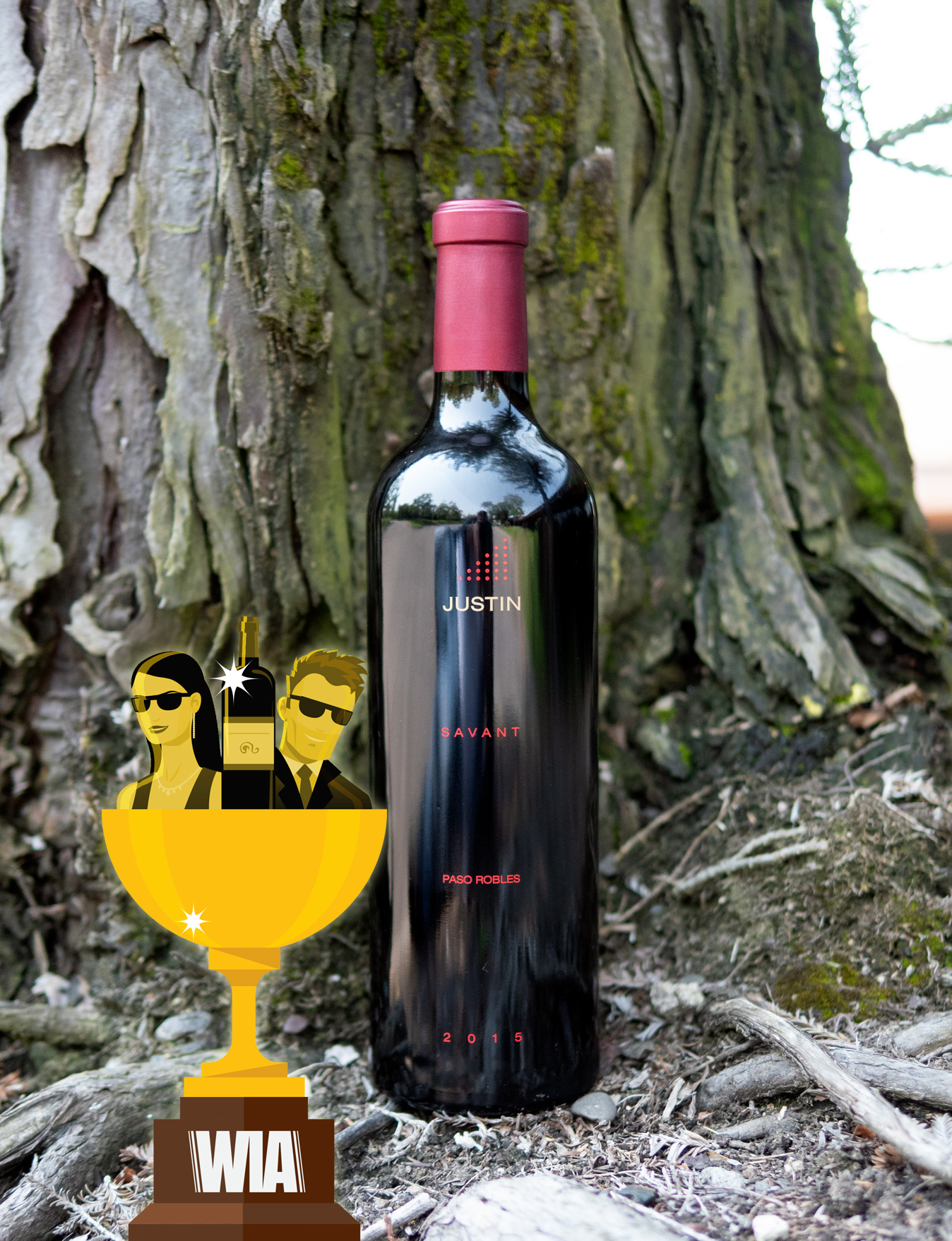 JUSTIN 2015 "Savant" Paso Robles Syrah Cabernet Sauvignon Blend 750ml Wine Bottle