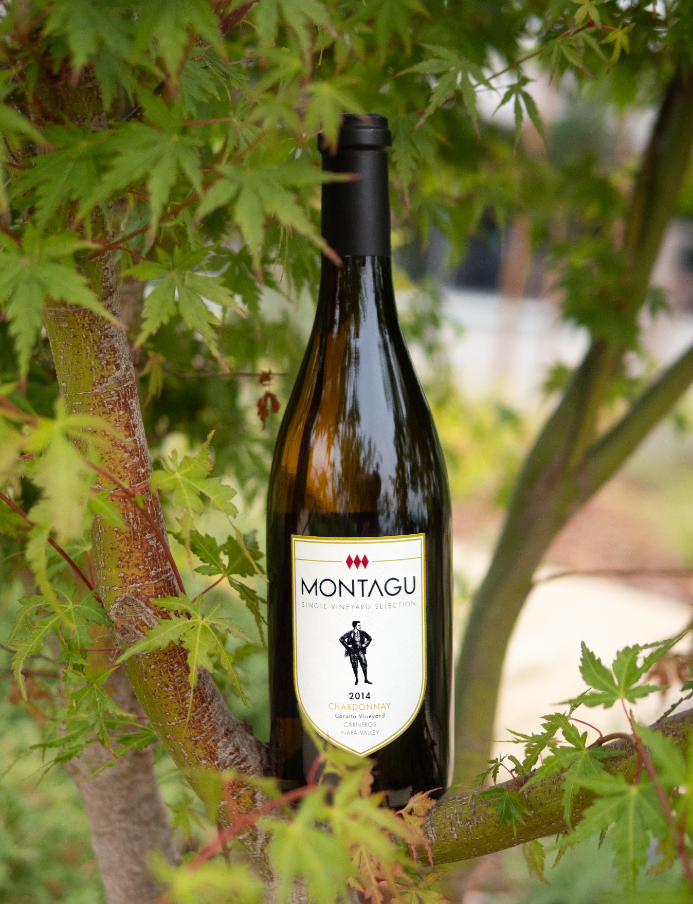 Montagu 2014 Single Vineyard Selection Corotto Vineyard Carneros Napa Valley Chardonnay 750ml Wine Bottle