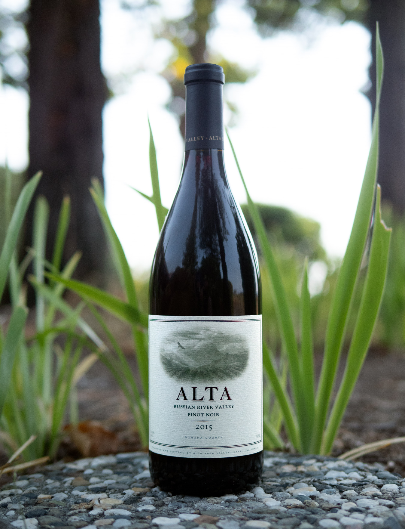 ALTA 2015 Russian River Valley Pinot Noir 750ml Wine Bottle