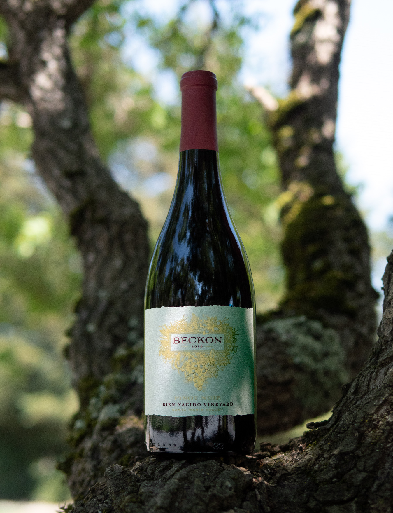 Beckon 2016 Bien Nacido Vineyard Santa Maria Valley Pinot Noir 750ml Wine Bottle