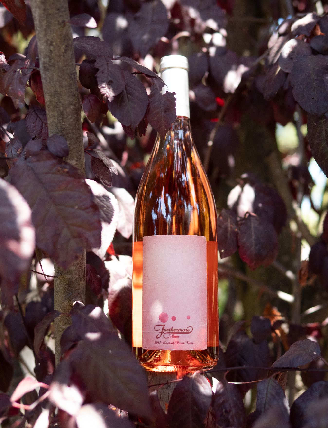 Furthermore 2017 Russian River Valley Rosé of Pinot Noir 750ml Wine Bottle