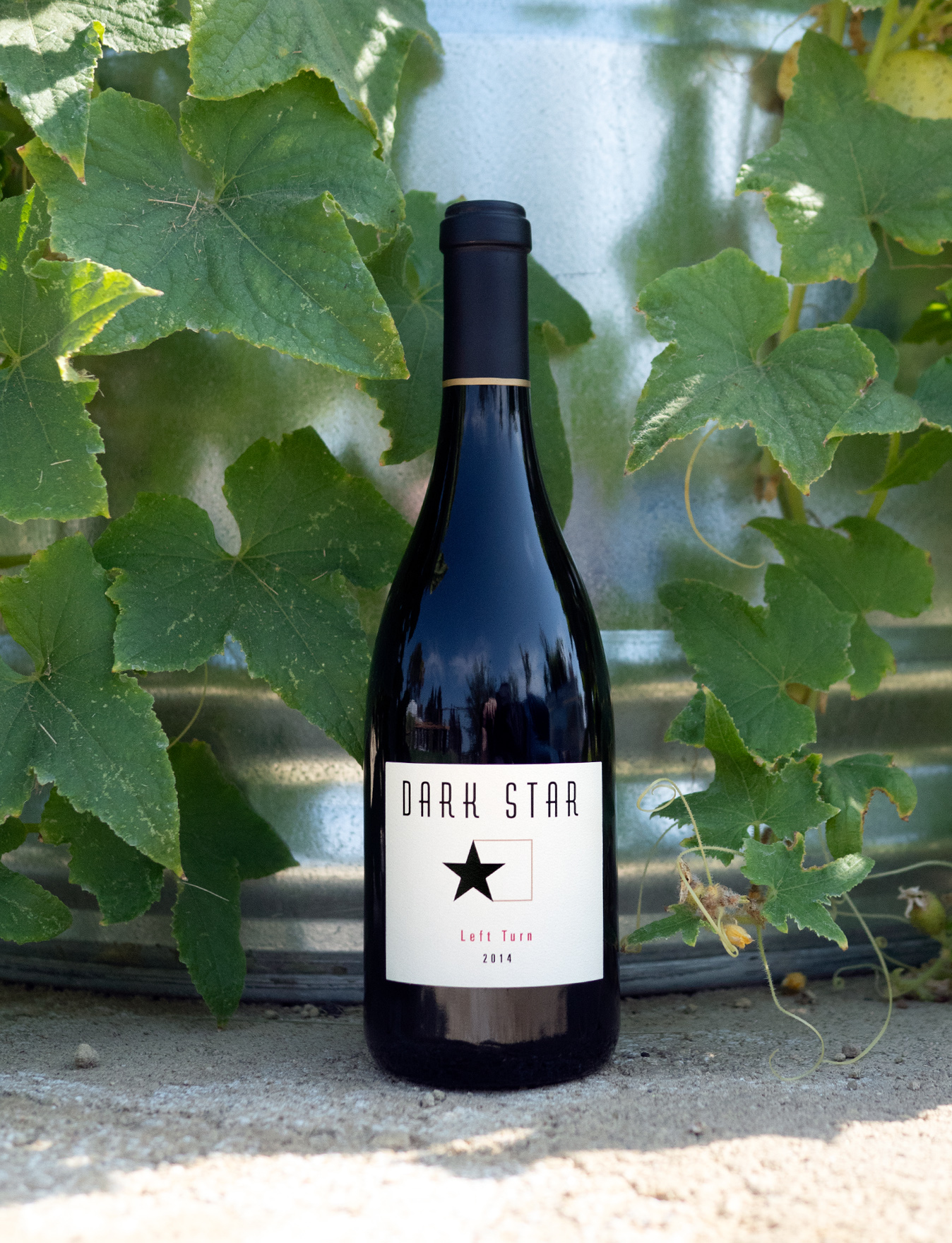 Dark Star Cellars 2014 Left Turn Paso Robles Red Blend 750ml Wine Bottle