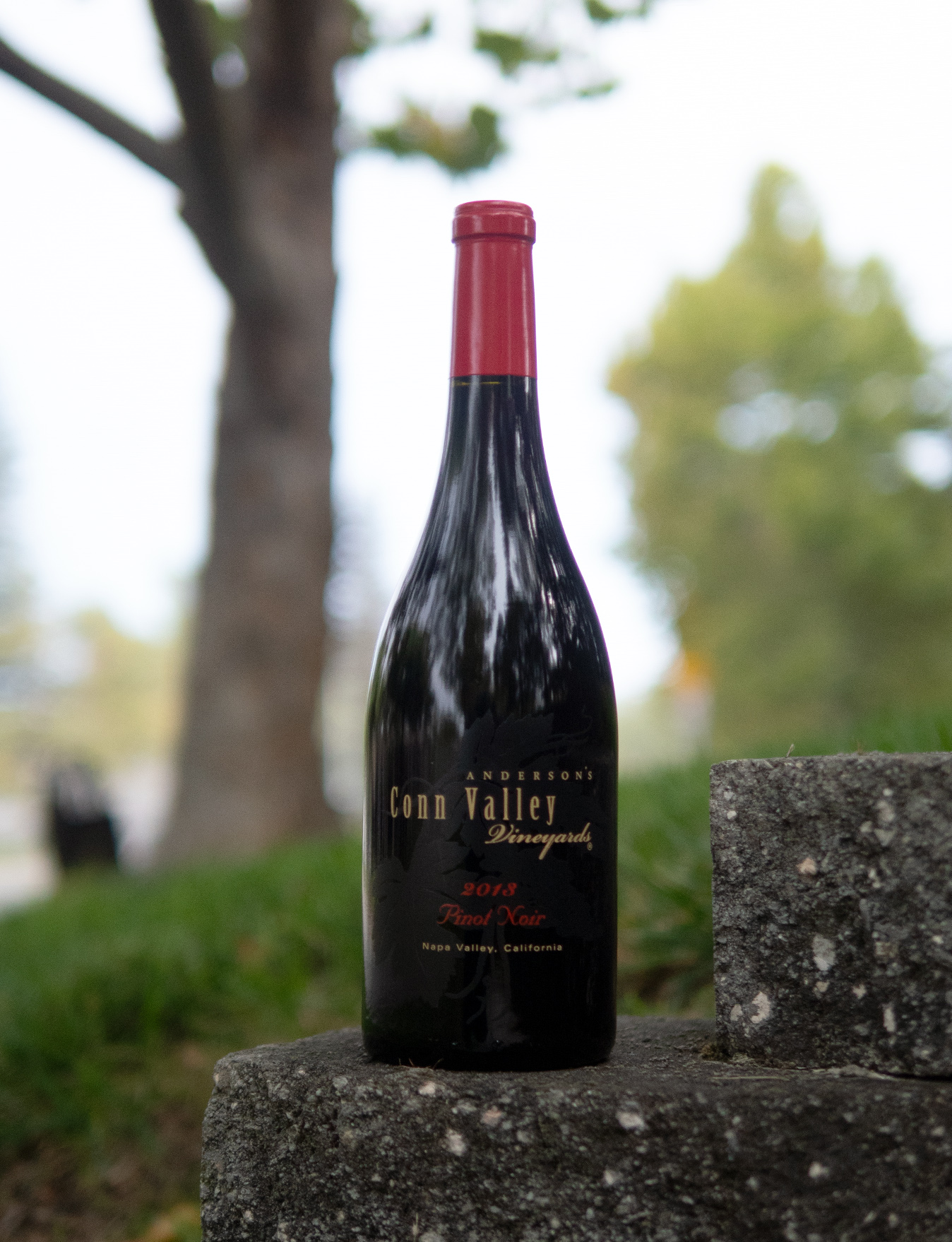 Anderson's Conn Valley 2013 Napa Valley Pinot Noir 750ml Wine Bottle