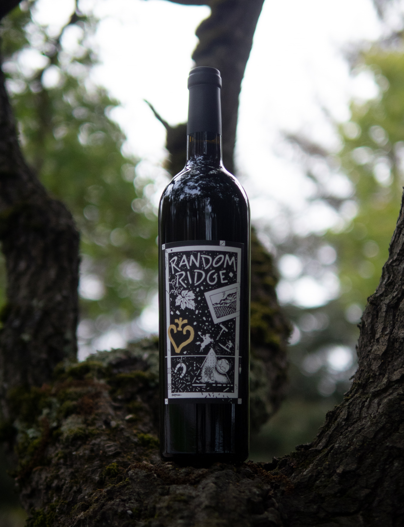 Random Ridge 2015 Mt. Veeder District Napa Valley Cabernet Sauvignon 750ml Wine Bottle