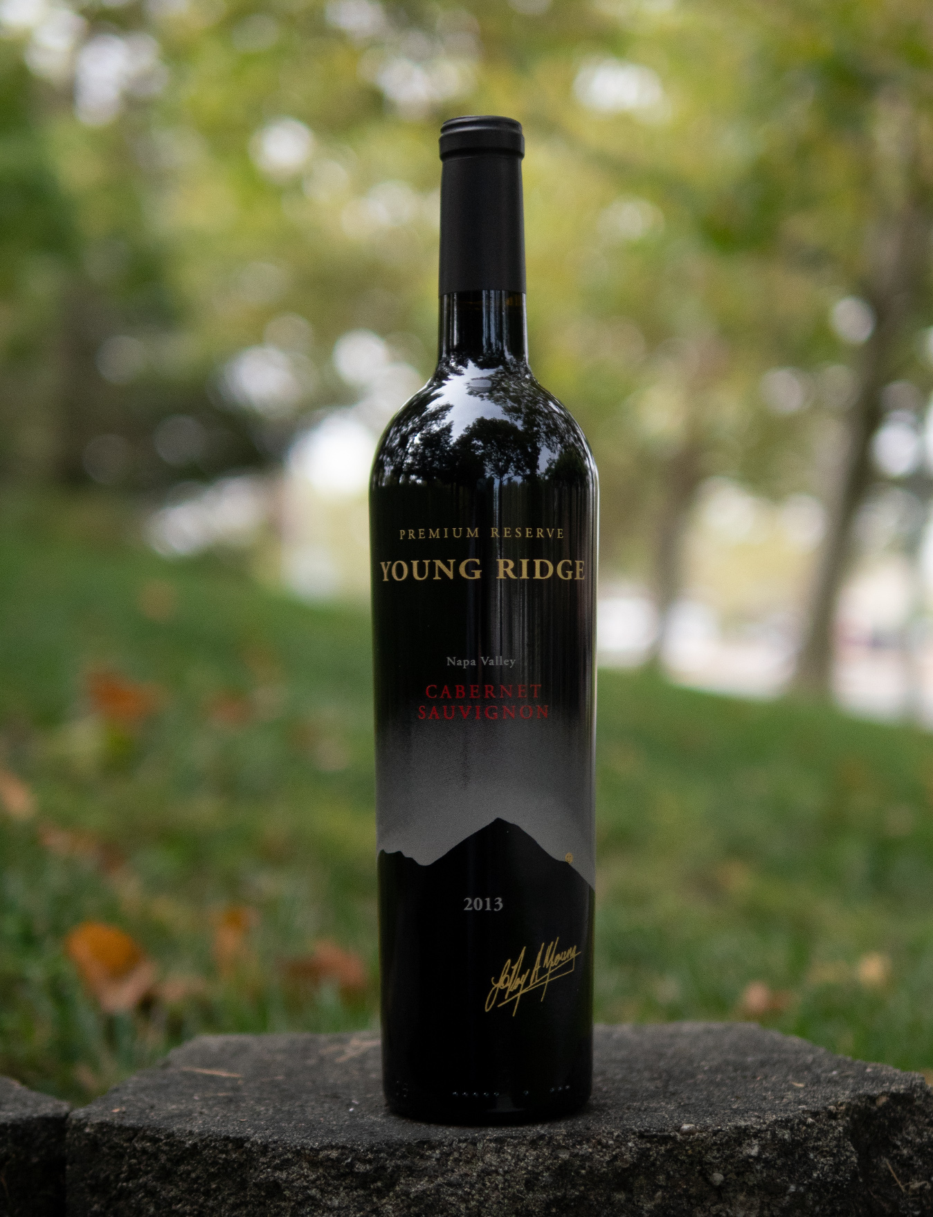 Young Ridge 2013 Premium Reserve Napa Valley Cabernet Sauvignon 750ml Wine Bottle