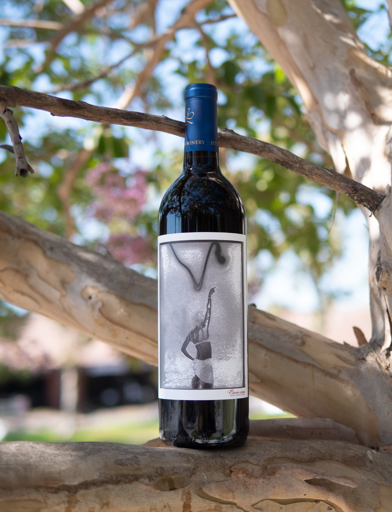Jettlynn 2014 "Cuvee-ceous" Paso Robles Red Wine 750ml Wine Bottle