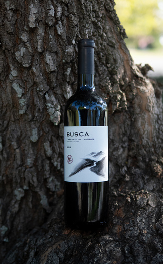 Busca Wines 2015 Sonoma County Cabernet Sauvignon 750ml Wine Bottle