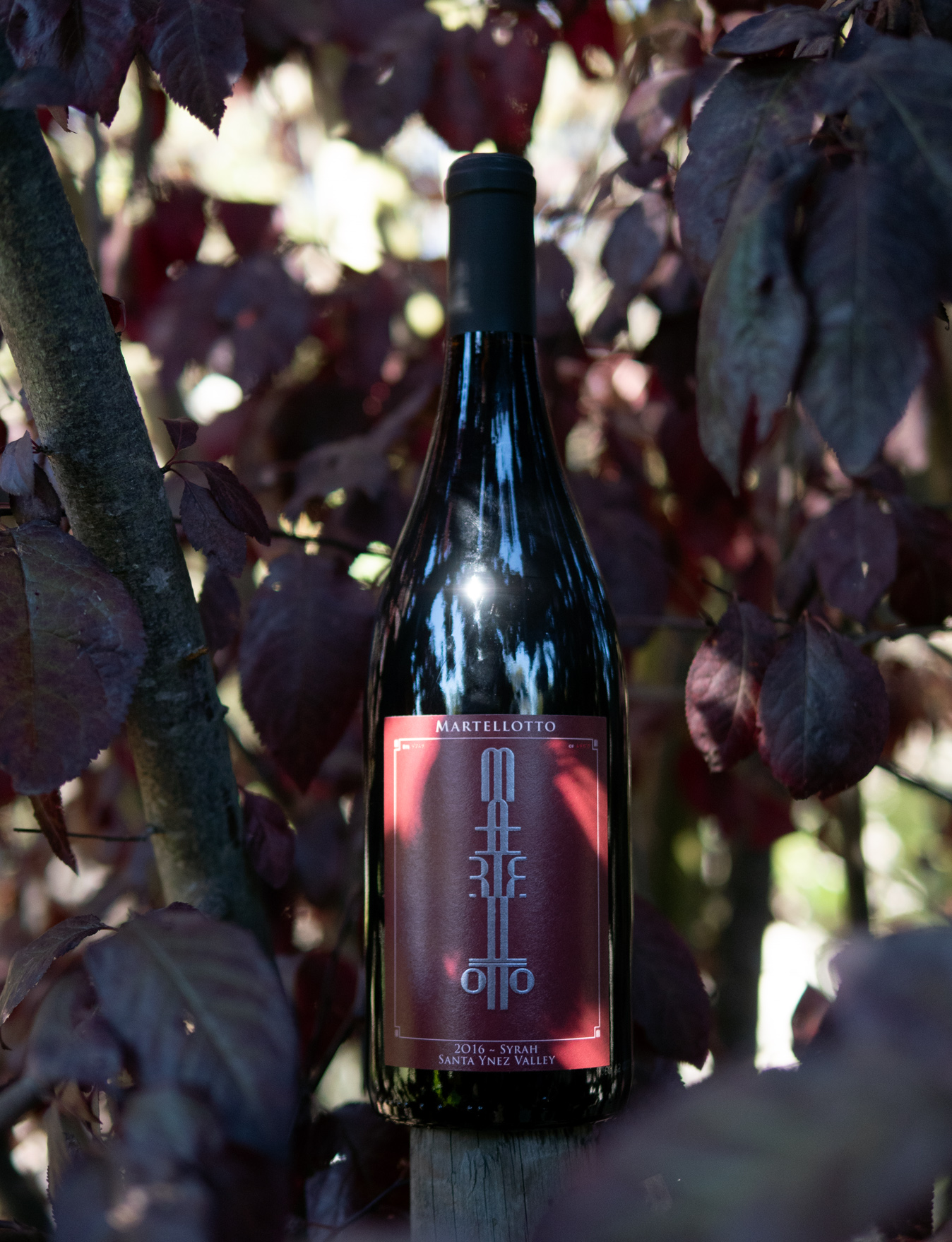 Martellotto Wines 2016 Santa Ynez Valley Syrah 750ml Wine Bottle