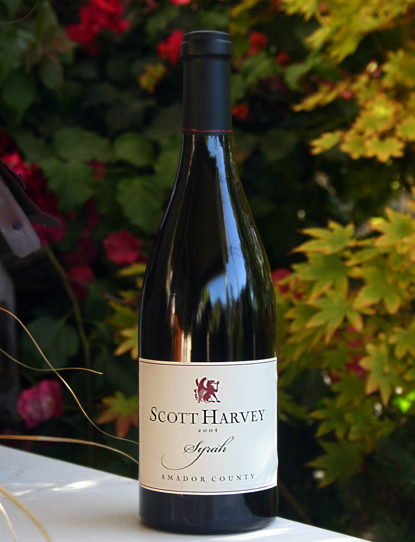 Scott Harvey Wines 2004 Amador County Reserve Syrah 750ml Wine Bottle