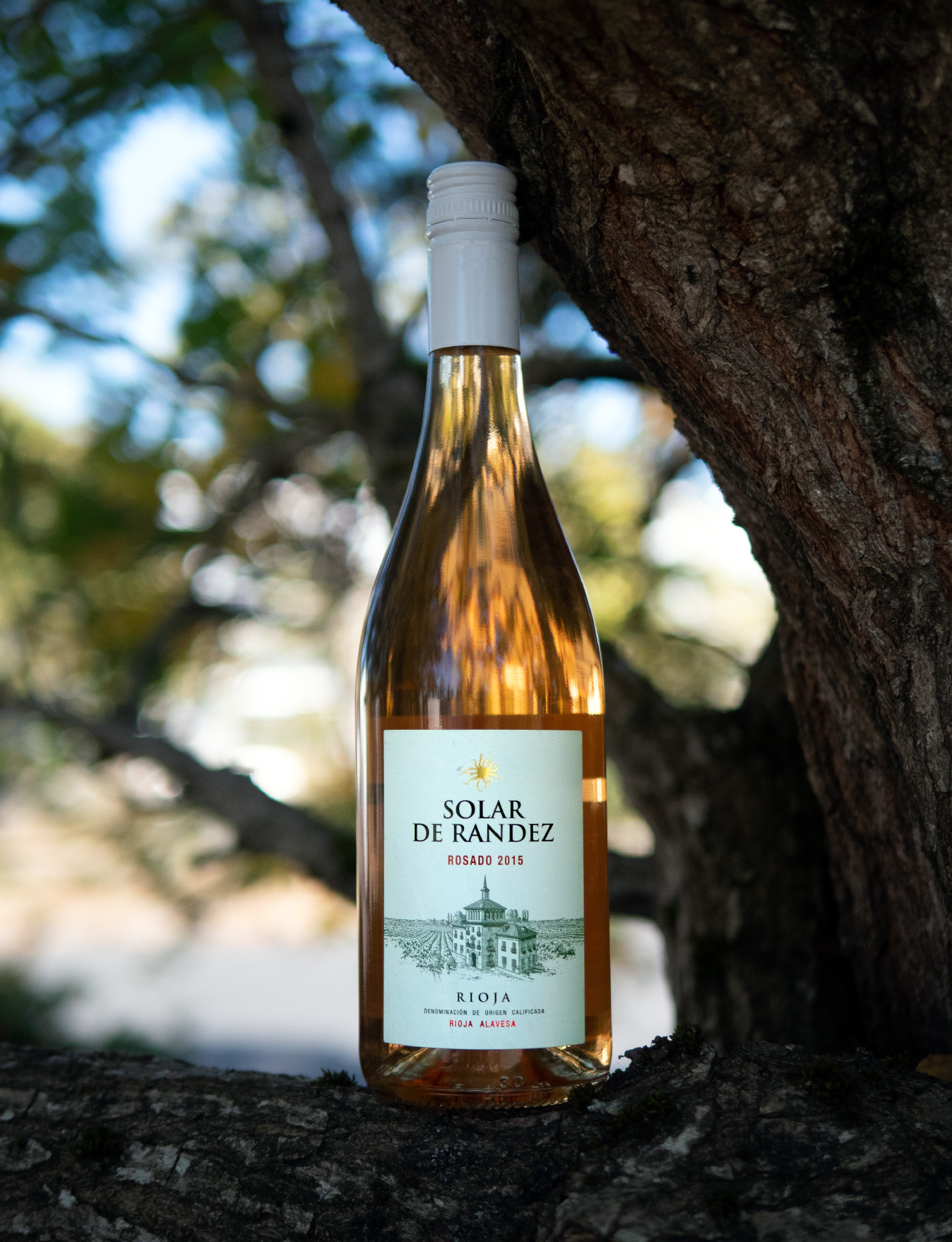 Solar de Randez 2015 Rioja DOC Rioja Alavesa Rosada 750ml Wine Bottle