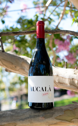 Serra & Barcelo 2015 Aucala "DO Terra Alta" Tinto 750ml Wine Bottle