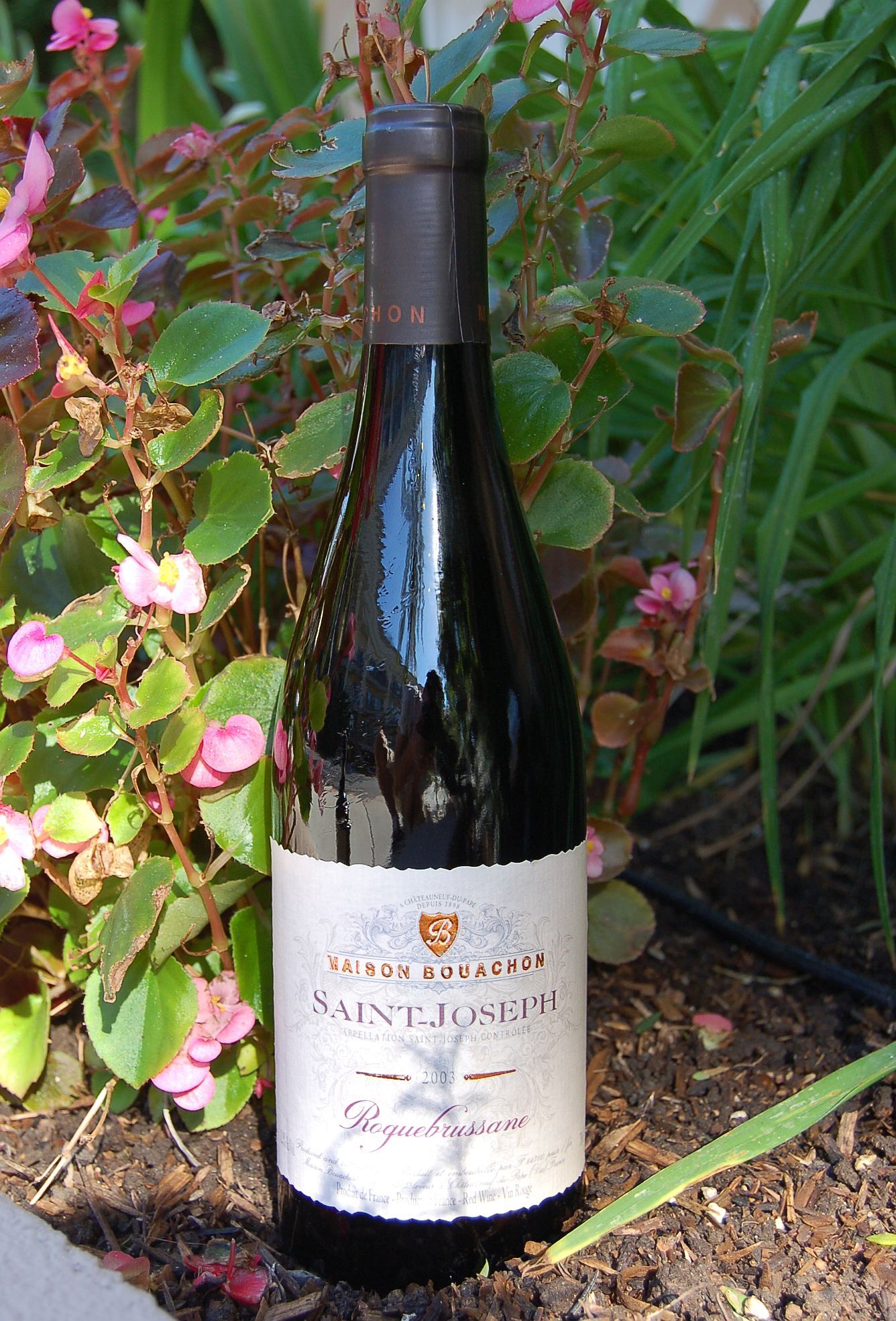 Skalli Grand Vin du Rhone 2003 Roquebrussane - Saint Joseph 750ml Wine Bottle