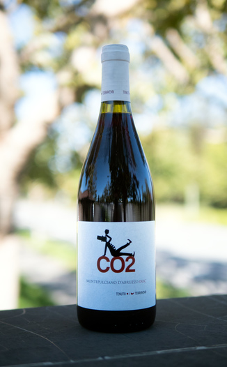 Tenuta Terraviva 2014 CO2 Montepulciano D'Abruzzo DOC 750ml Wine Bottle