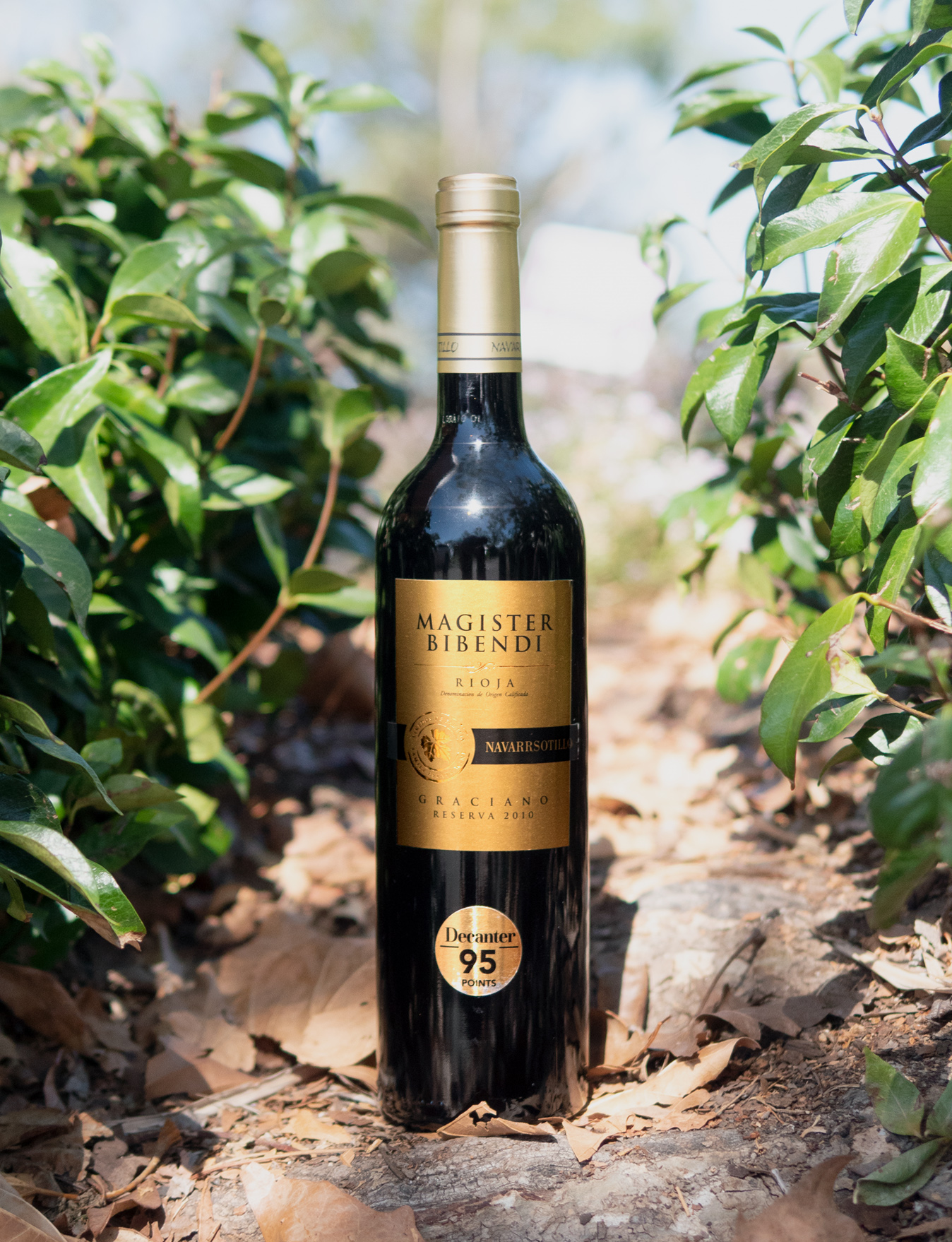 Navarrsotillo 2010 "Magister Bibendi" Reserve Rioja DOC Graciano 750ml Wine Bottle