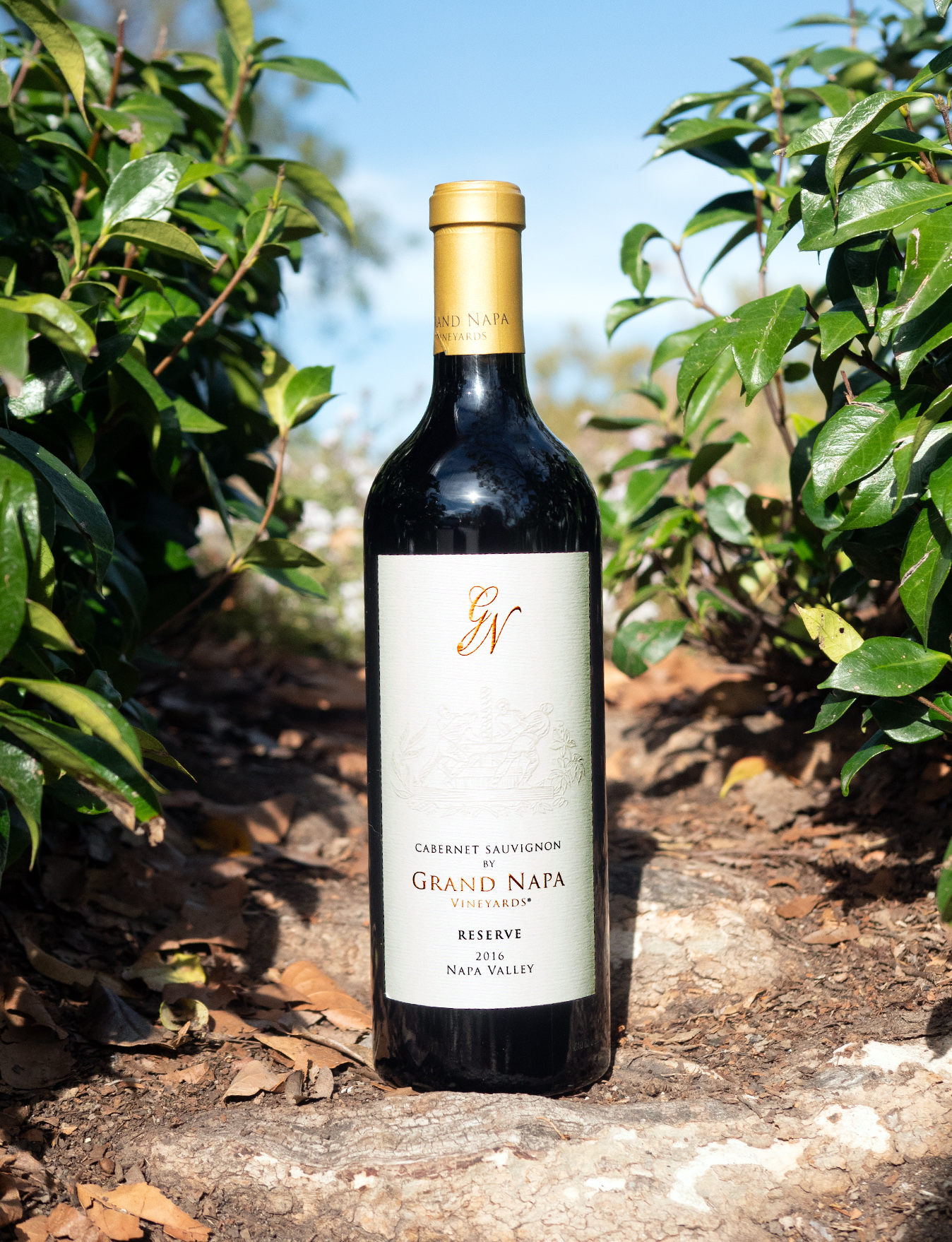 Grand Napa 2016 Napa Valley Reserve Cabernet Sauvignon 750ml Wine Bottle