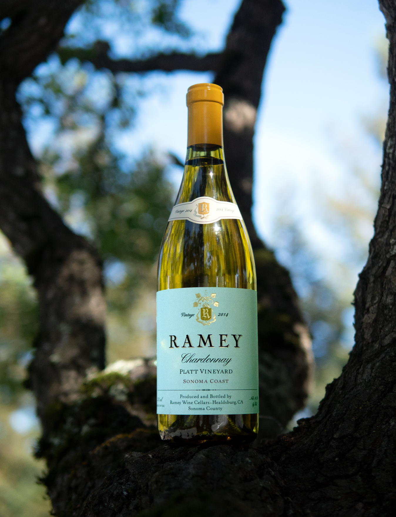 Ramey 2014 Platt Vineyard Sonoma Coast Chardonnay 750ml Wine Bottle