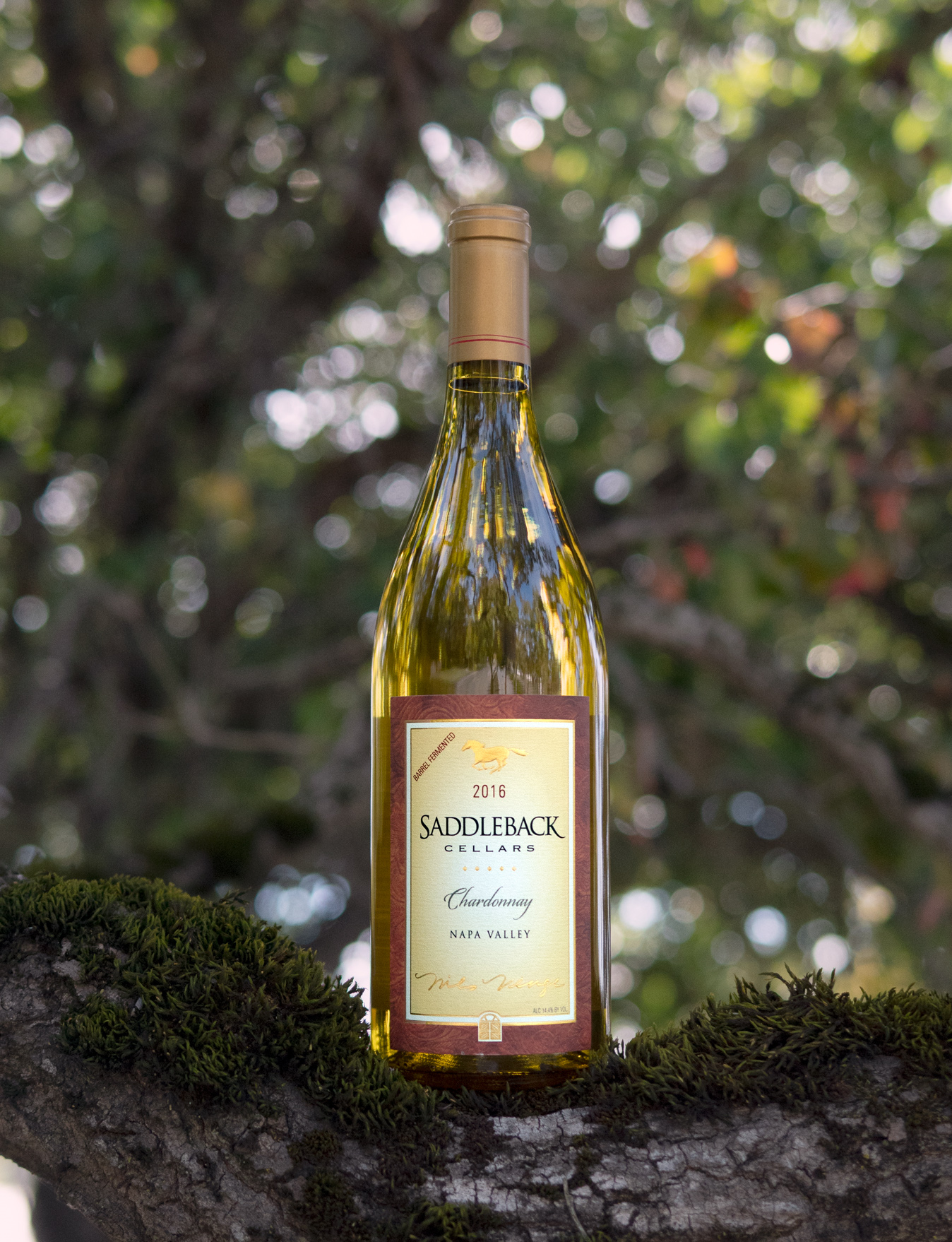 Saddleback Cellars 2016 Napa Valley Chardonnay 750ml Wine Bottle