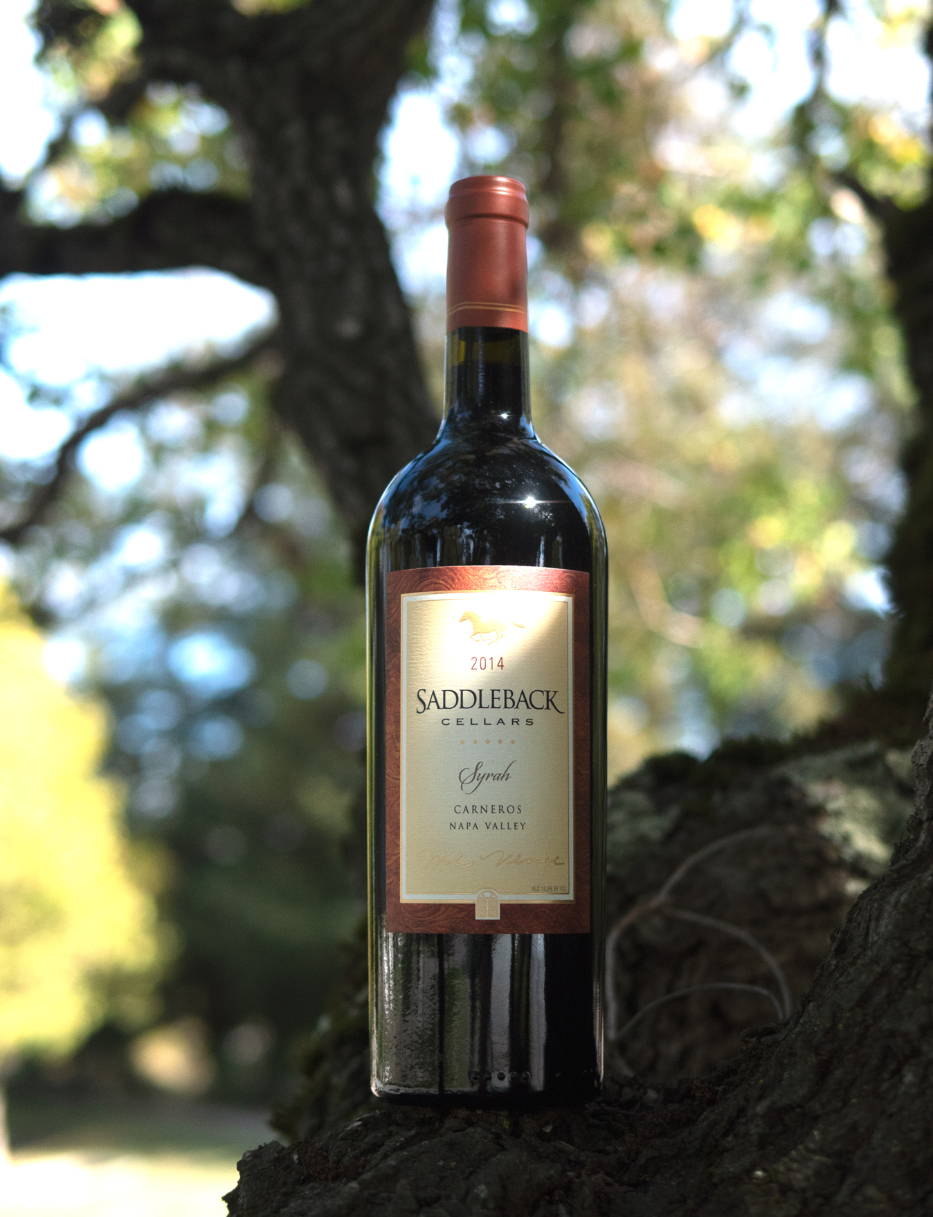 Saddleback Cellars 2014 Carneros Napa Valley Syrah 750ml Wine Bottle