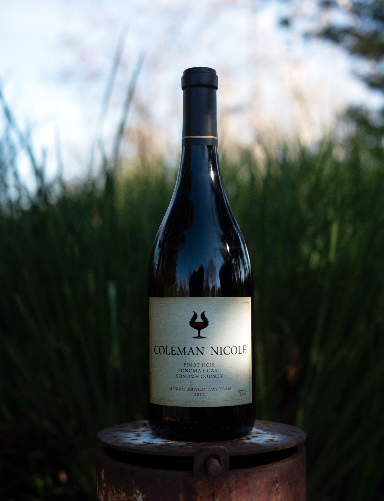 Coleman Nicole 2012 Sonoma Coast Sonoma County Morris Ranch Vineyard Pinot Noir 750ml Wine Bottle