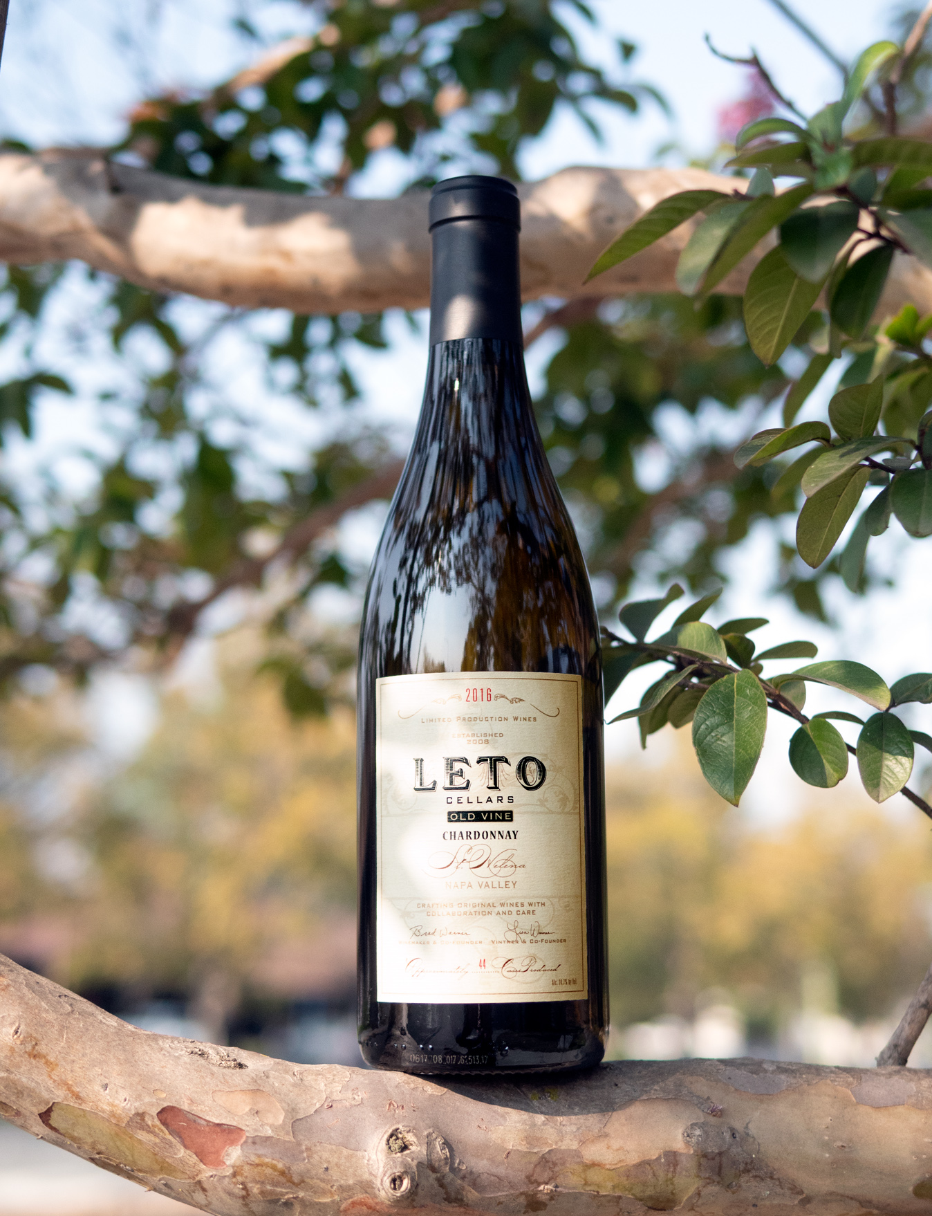Leto Cellars 2016 Napa Valley St. Helena Old Vine Chardonnay 750ml Wine Bottle