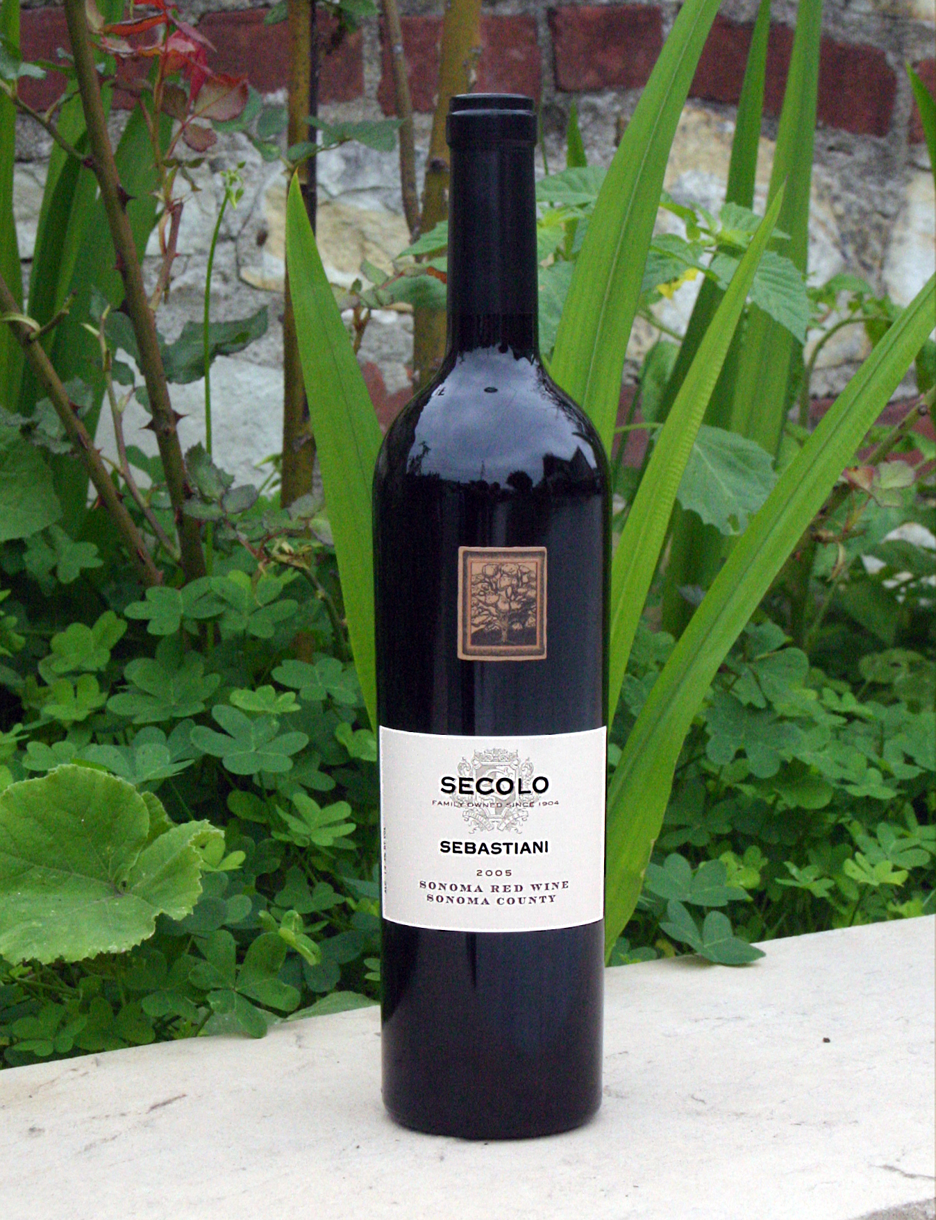 Sebastiani 2005 Secolo Proprietor's Wine Selection 750ml Wine Bottle