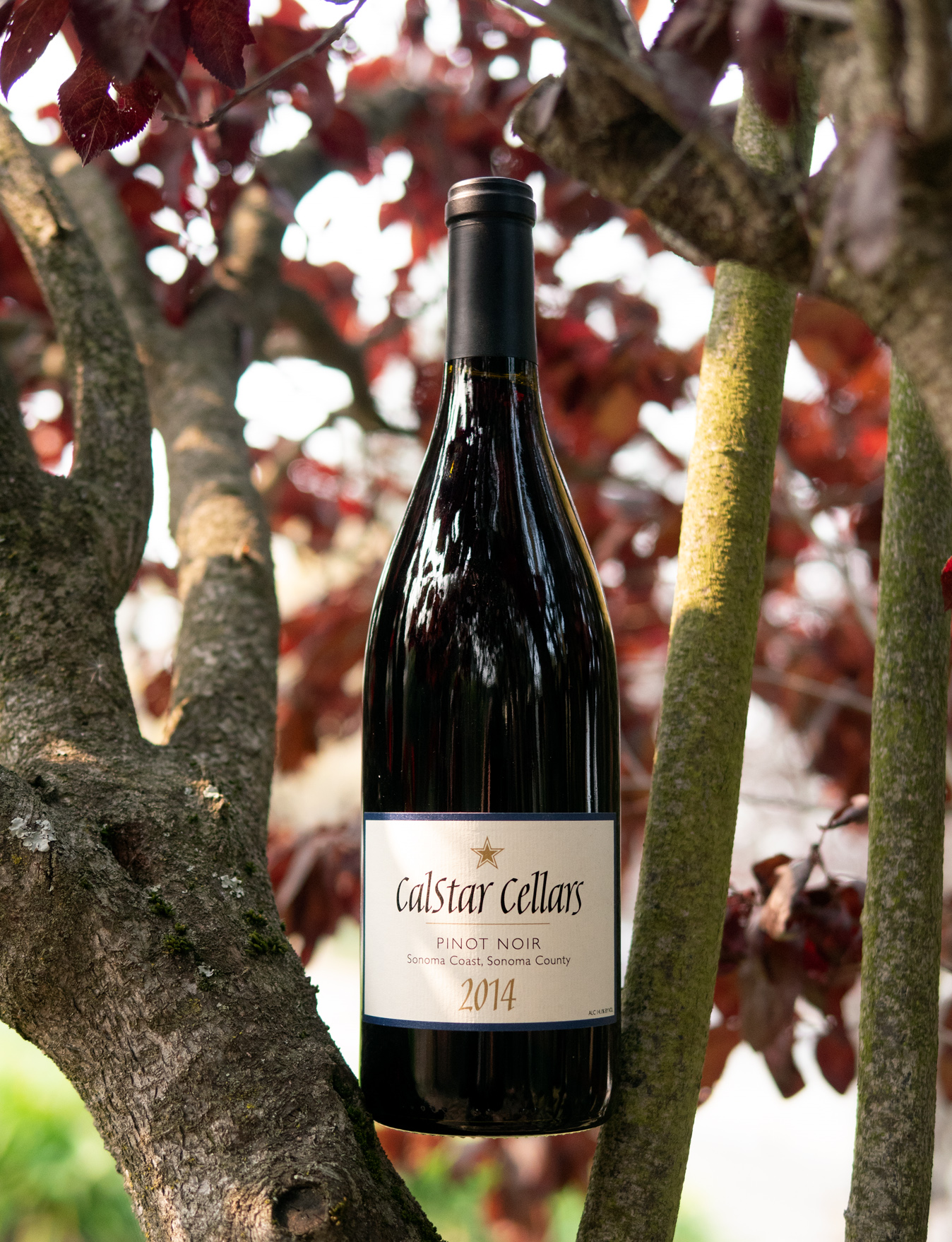 Calstar Cellars 2014 Sonoma Coast, Sonoma County Pinot Noir 750ml Wine Bottle