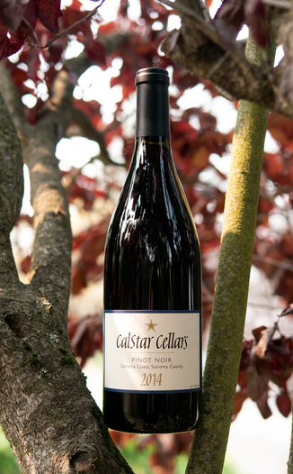 Calstar Cellars 2014 Sonoma Coast, Sonoma County Pinot Noir 750ml Wine Bottle