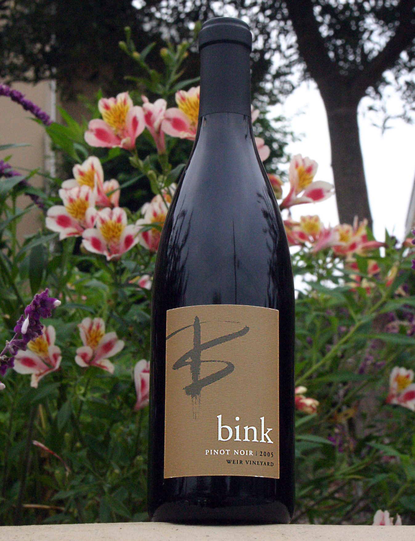 Bink Wines 2005 Weir Vineyard Pinot Noir 750ml Wine Bottle