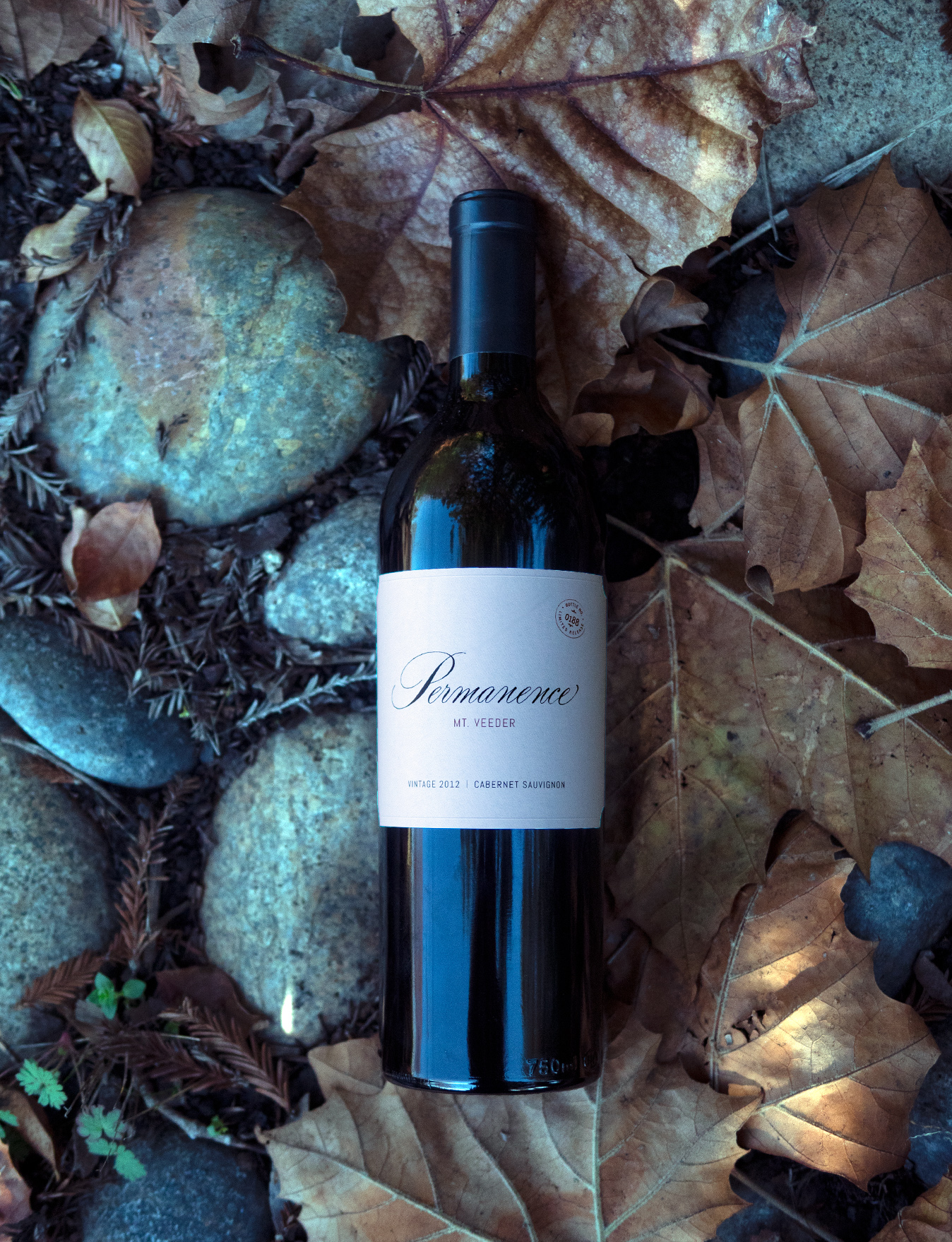 GrapeSeed Wines 2012 "Permanence" Mt. Veeder Napa Valley Cabernet Sauvignon 750ml Wine Bottle