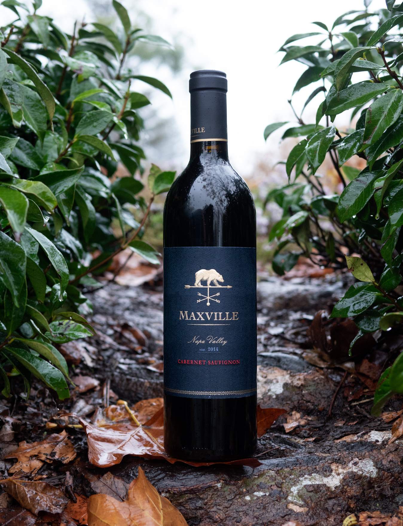 Maxville 2014 Napa Valley Cabernet Sauvignon 750ml Wine Bottle