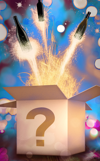 Wine Spies - Mystery Case B 750ml Wine Bottle