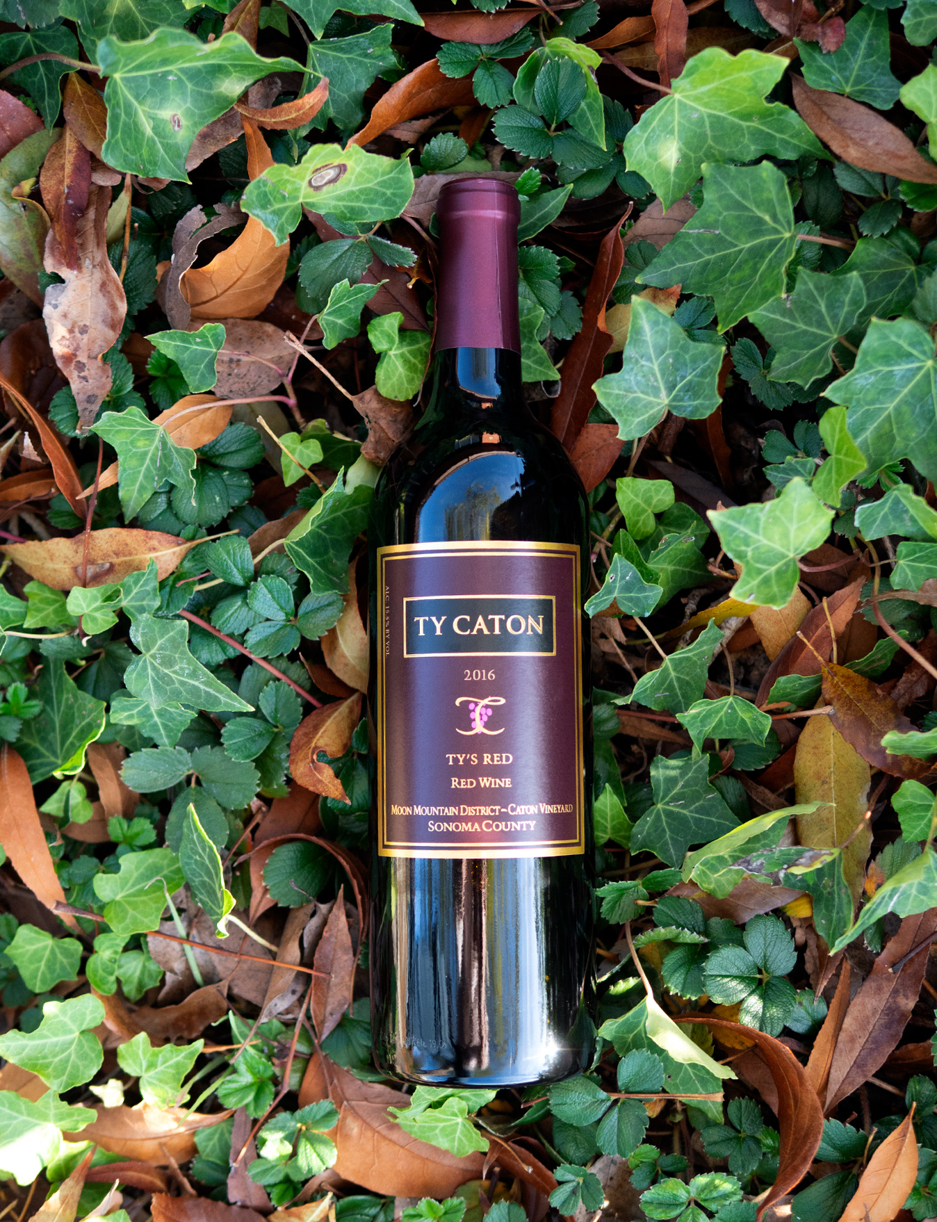 Ty Caton 2016 Sonoma County Ty's Red Wine 750ml Wine Bottle