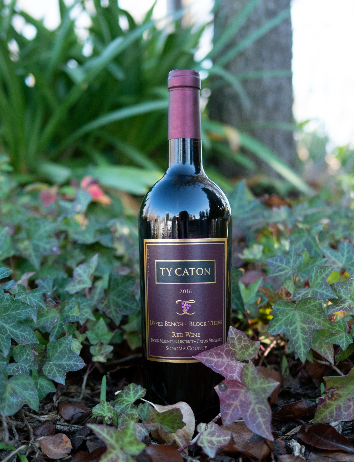 Ty Caton 2016 Sonoma County Upper Bench Block Three Red Wine 750ml Wine Bottle