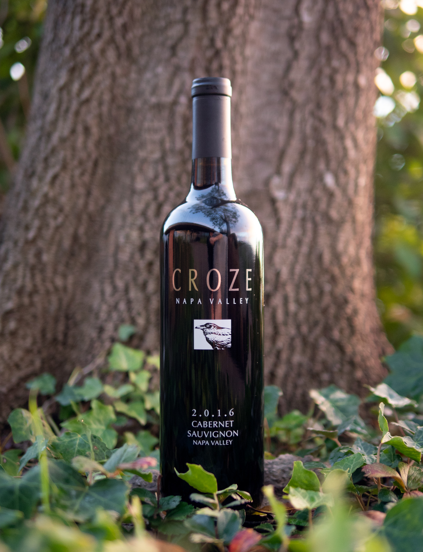 Croze 2016 Napa Valley Cabernet Sauvignon 750ml Wine Bottle