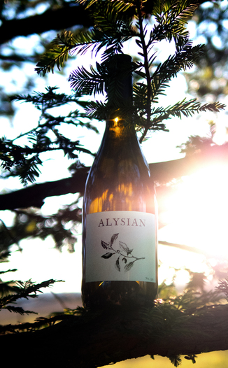 Alysian Wines 2017 Dry Creek Valley Sauvignon Blanc 750ml Wine Bottle