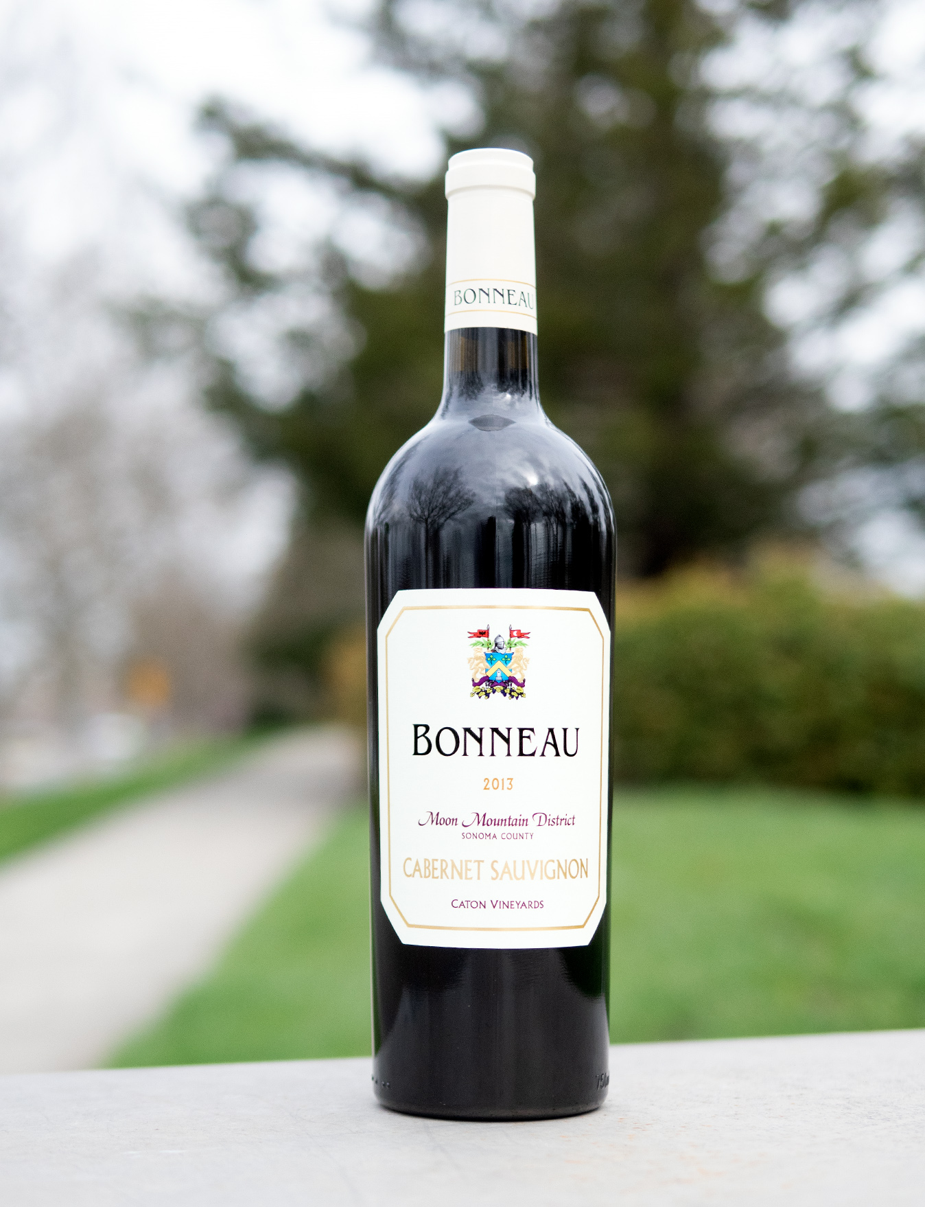 Bonneau 2013 Moon Mountain District Sonoma County Cabernet Sauvignon 750ml Wine Bottle