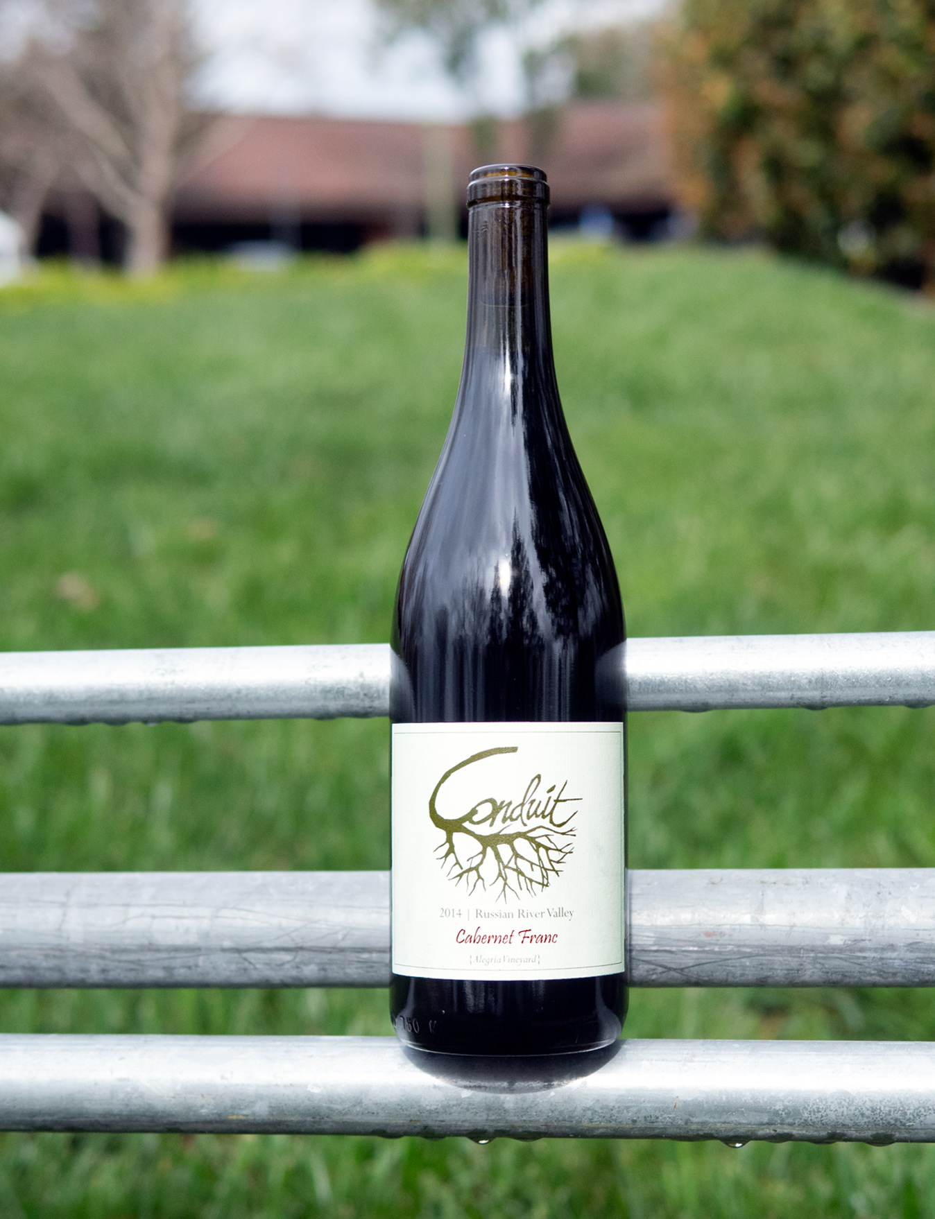 Conduit Wine Co. 2014 Russian River Valley Alegria Vineyard Cabernet Franc 750ml Wine Bottle