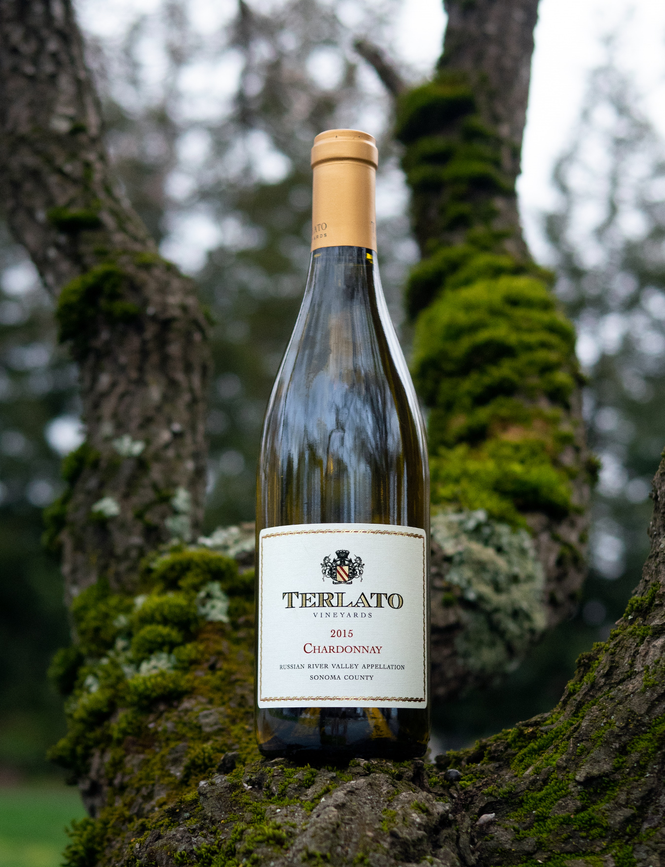 Terlato 2015 Russian River Valley Sonoma County Chardonnay 750ml Wine Bottle