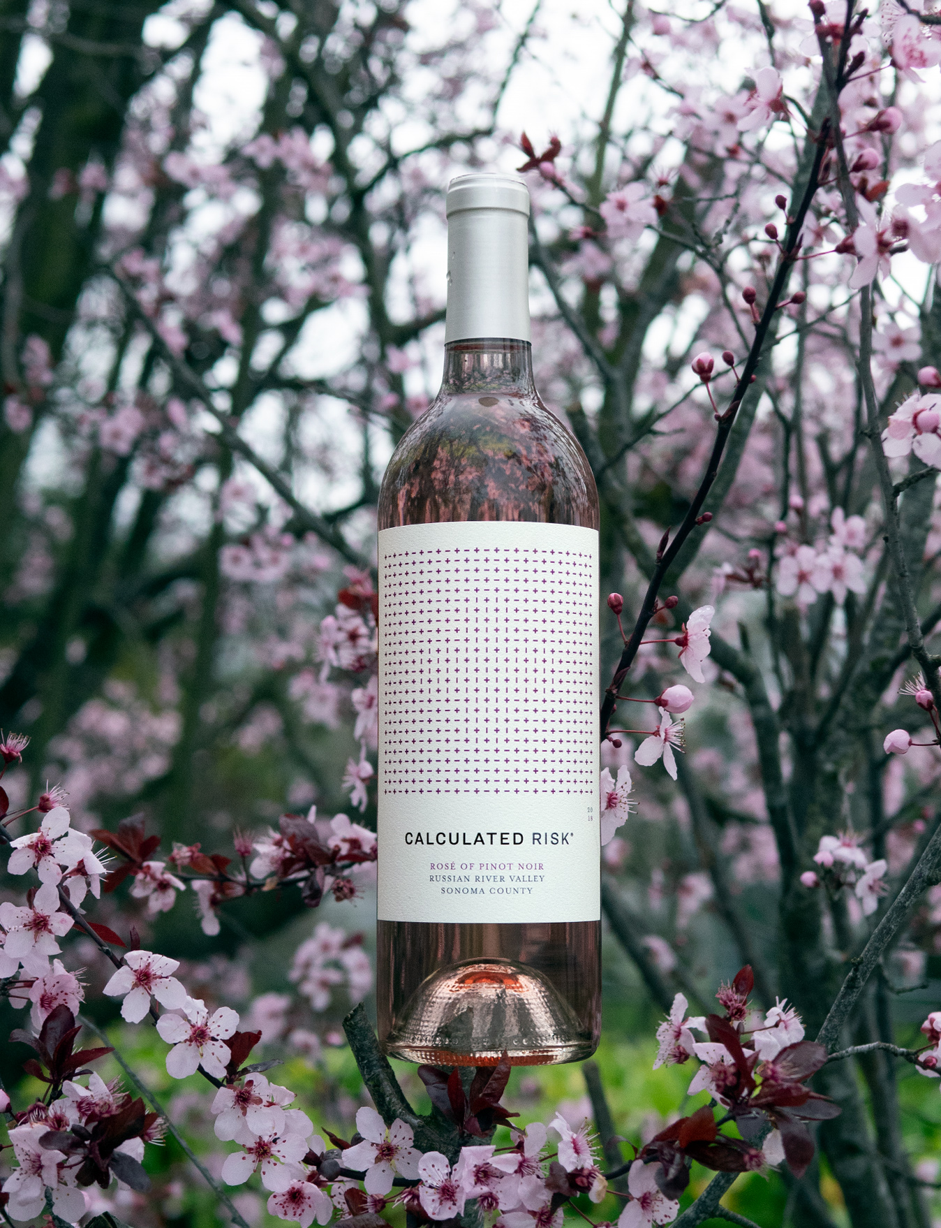 Calculated Risk 2018 Russian River Valley Sonoma County Rose of Pinot Noir 750ml Wine Bottle