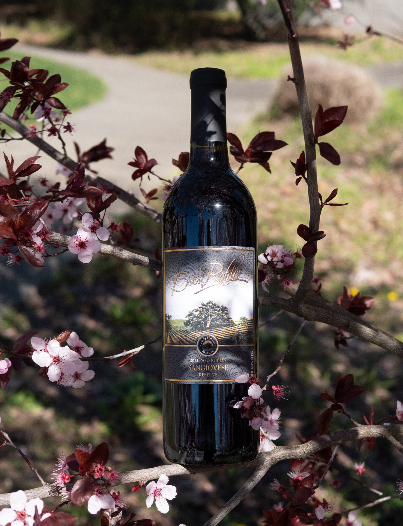 Doce Robles 2013 Paso Robles Reserve Sangiovese 750ml Wine Bottle