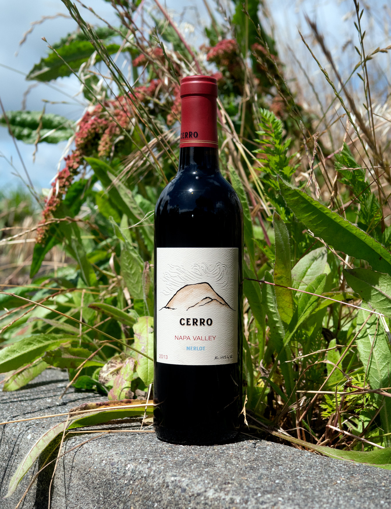 JDB Wines 2013 'Cerro' Napa Valley Merlot 750ml Wine Bottle