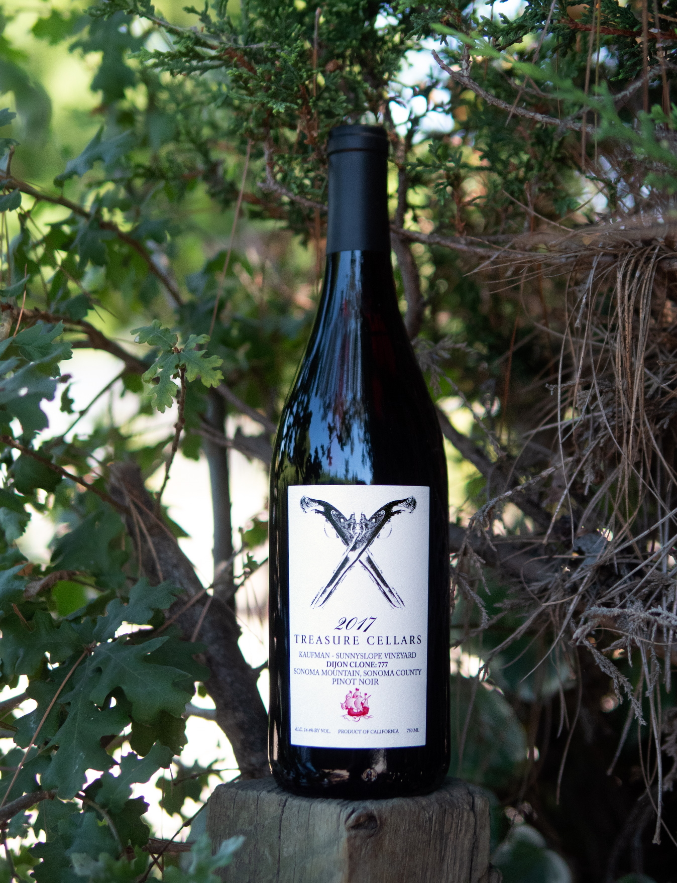 Kitfox Vineyards 2017 Treasure Cellars Kaufman-Sunnyslope Sonoma Mountain Pinot Noir 750ml Wine Bottle