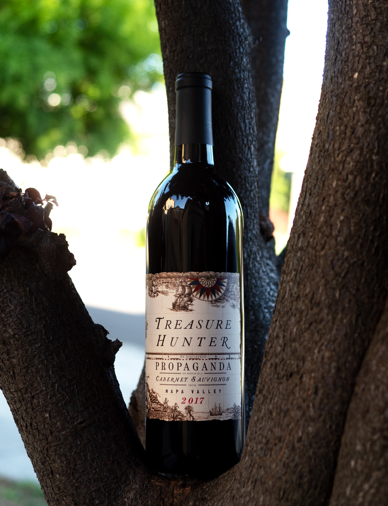 Kitfox Vineyards 2017 Treasure Hunter Propaganda Cabernet Sauvignon 750ml Wine Bottle