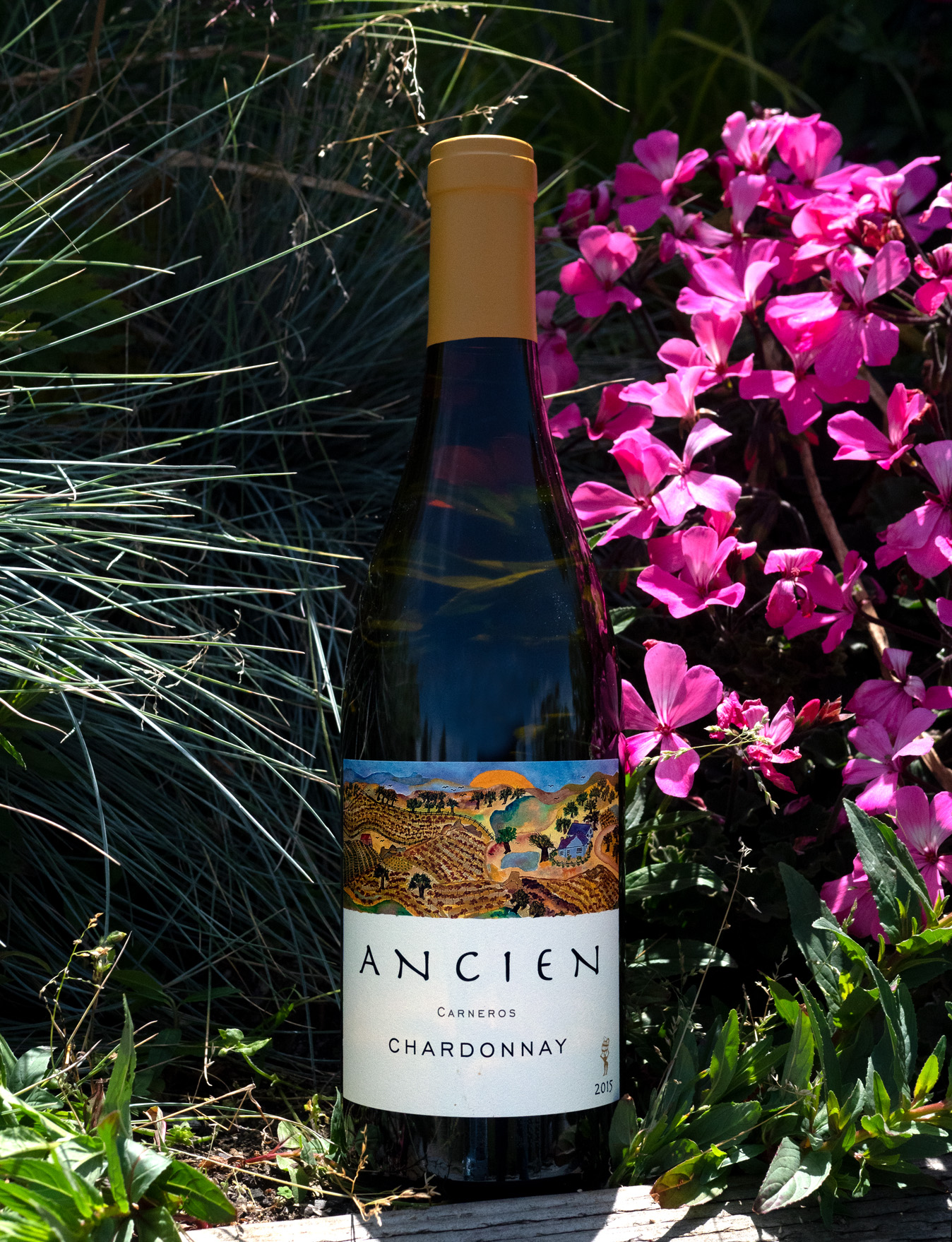 Ancien 2015 Carneros Chardonnay 750ml Wine Bottle