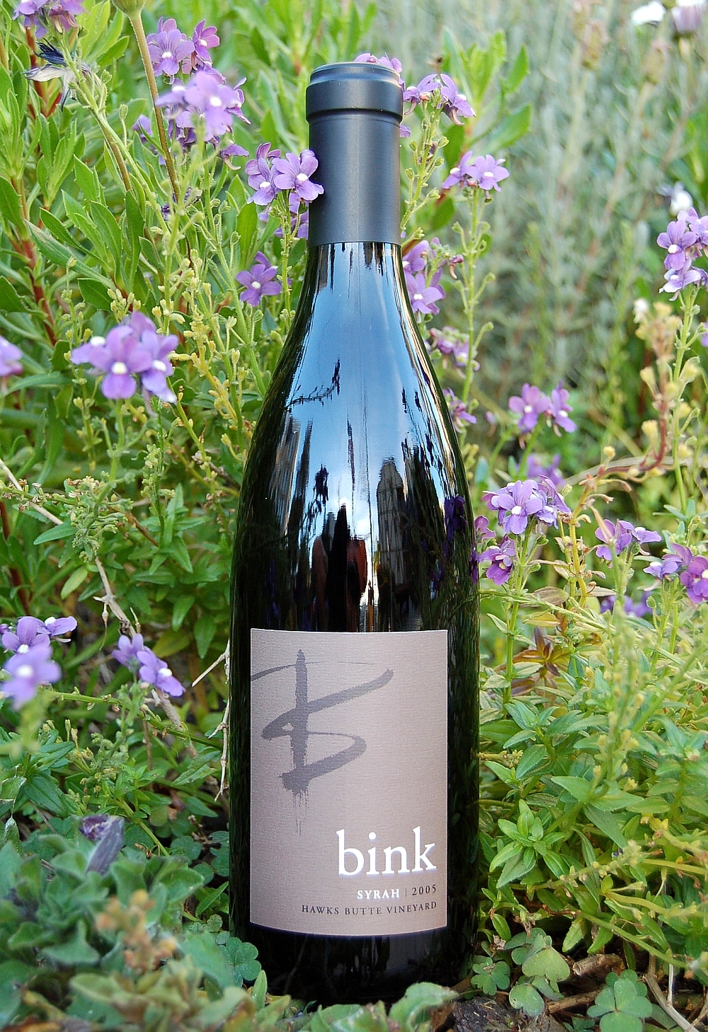 Bink Wines 2005 Hawks Butte Syrah 750ml Wine Bottle