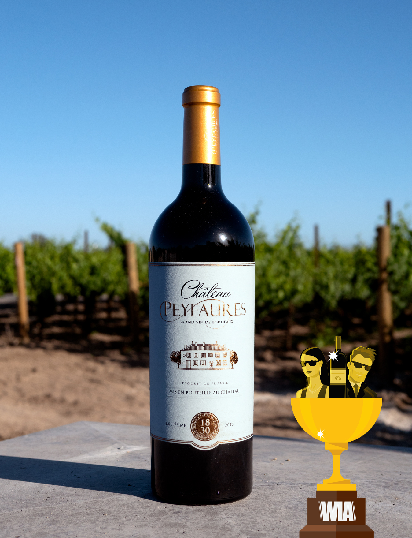 Château Peyfaures 2015 BAD WINE Bordeaux Supérieur AOC 750ml Wine Bottle