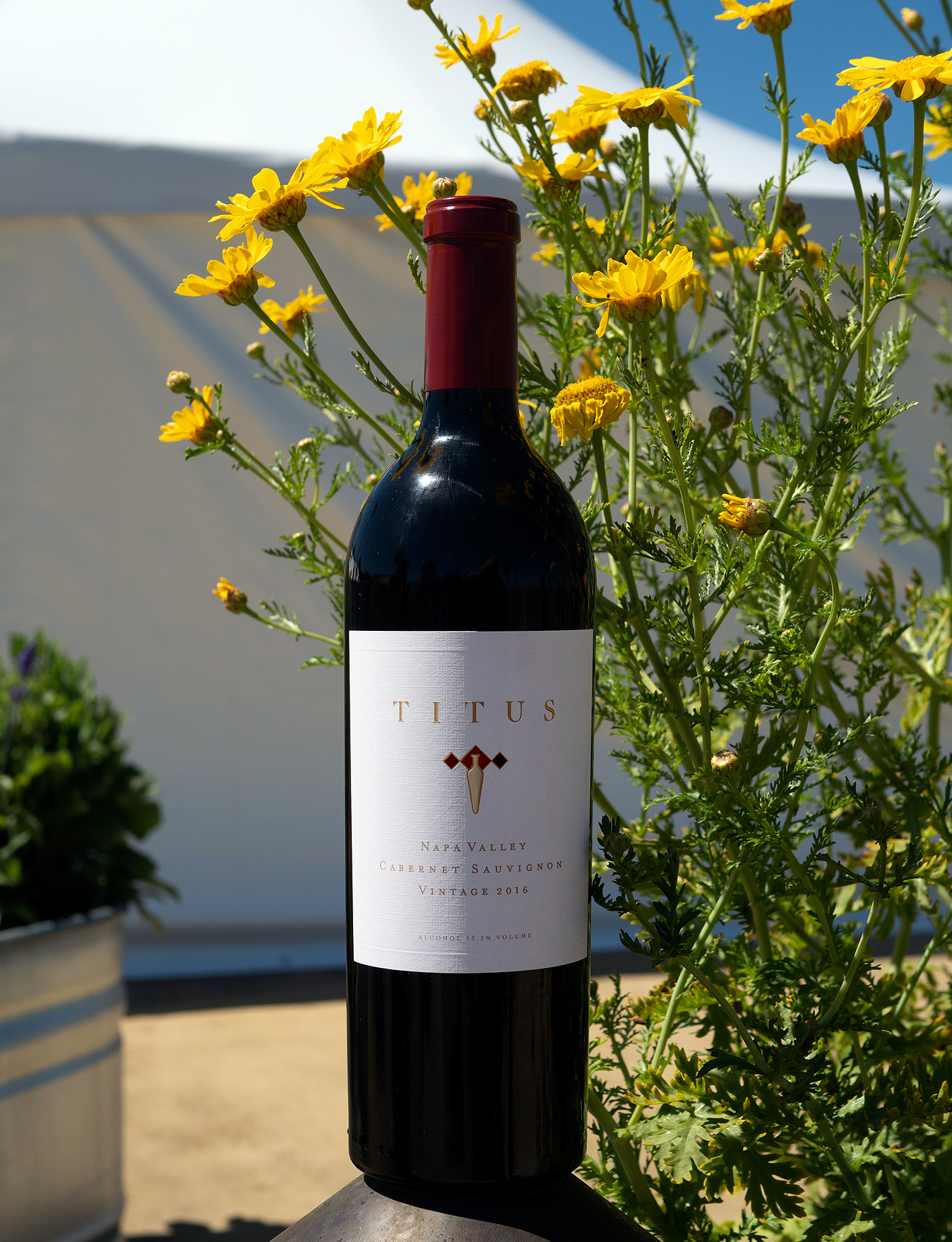 Titus Vineyards 2016 Napa Valley Cabernet Sauvignon 750ml Wine Bottle