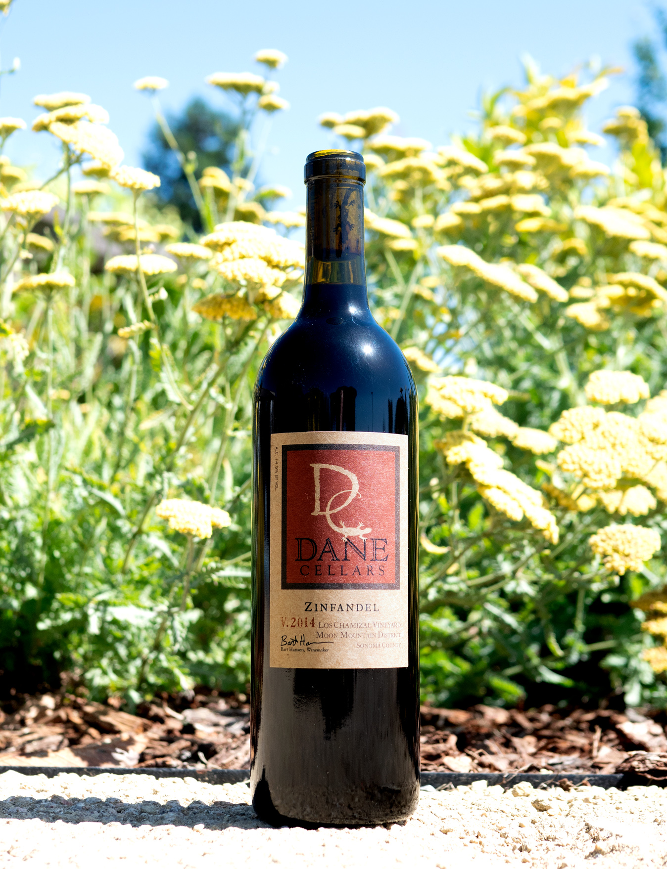 Dane Cellars 2014 Los Chamizal Vineyard Zinfandel 750ml Wine Bottle