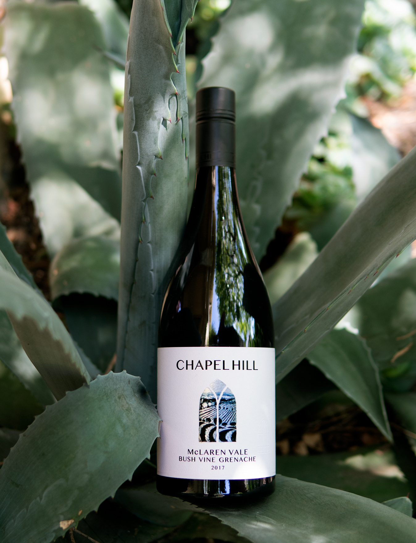 Chapel Hill 2017 McLaren Vale Bush Vine Grenache 750ml Wine Bottle