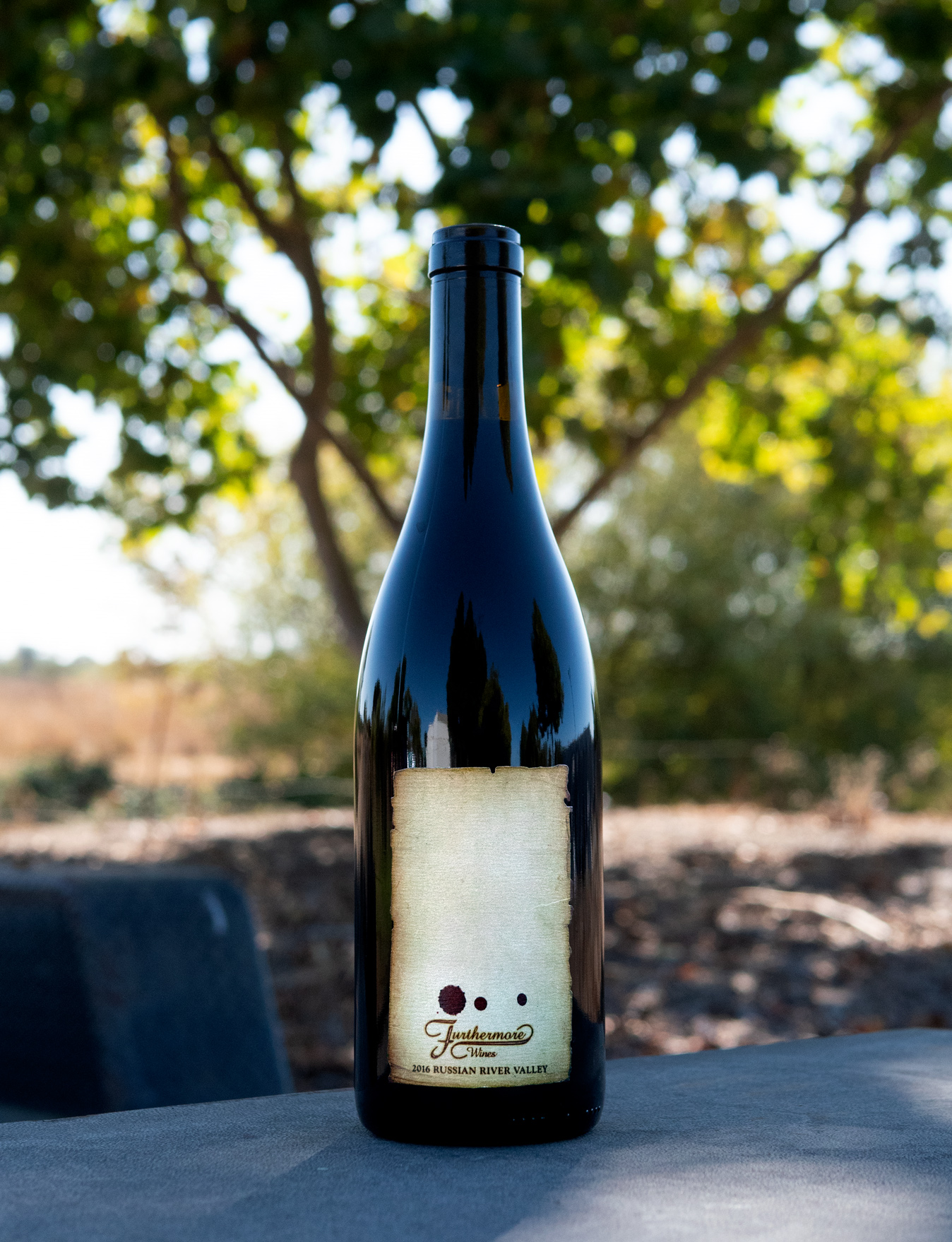 Furthermore 2016 Russian River Valley Pinot Noir 750ml Wine Bottle